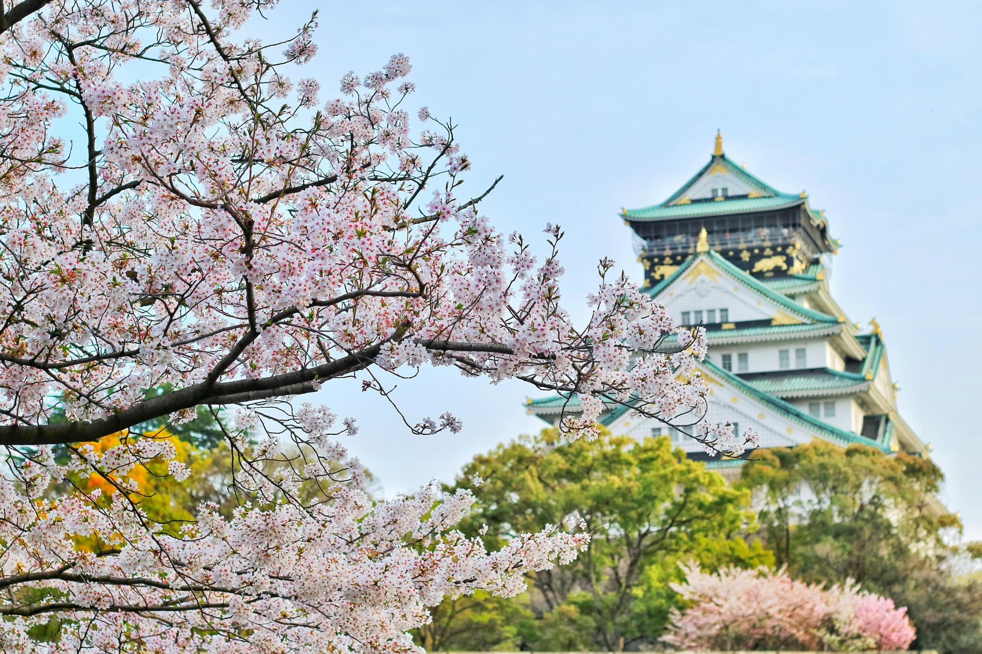 Osaka Castle and surrounding park