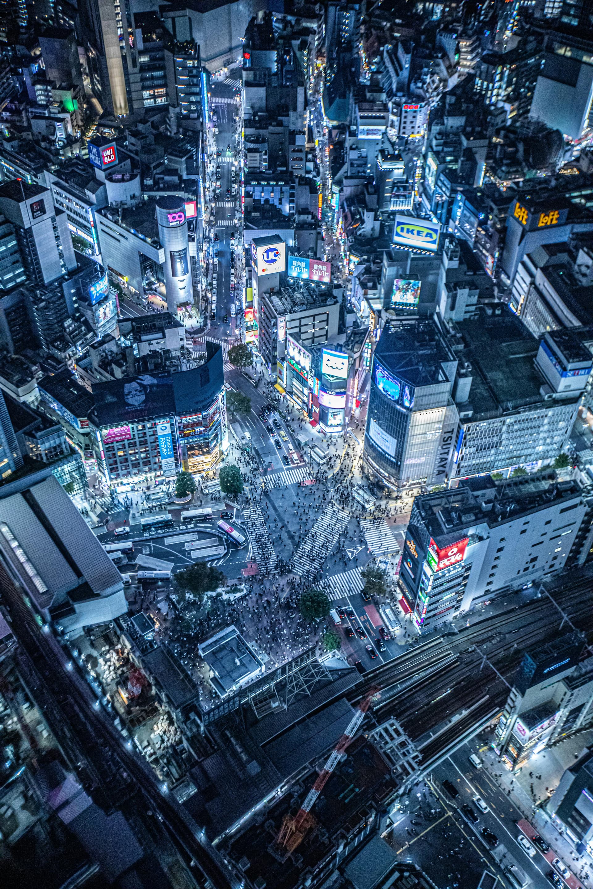 Shibuya crossing and Tokyo city lights at night