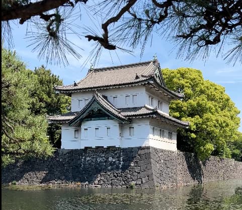 A white historic watchtower above the stone walls and moat of Tokyo's Imperial Palace grounds, framed by pine branches
