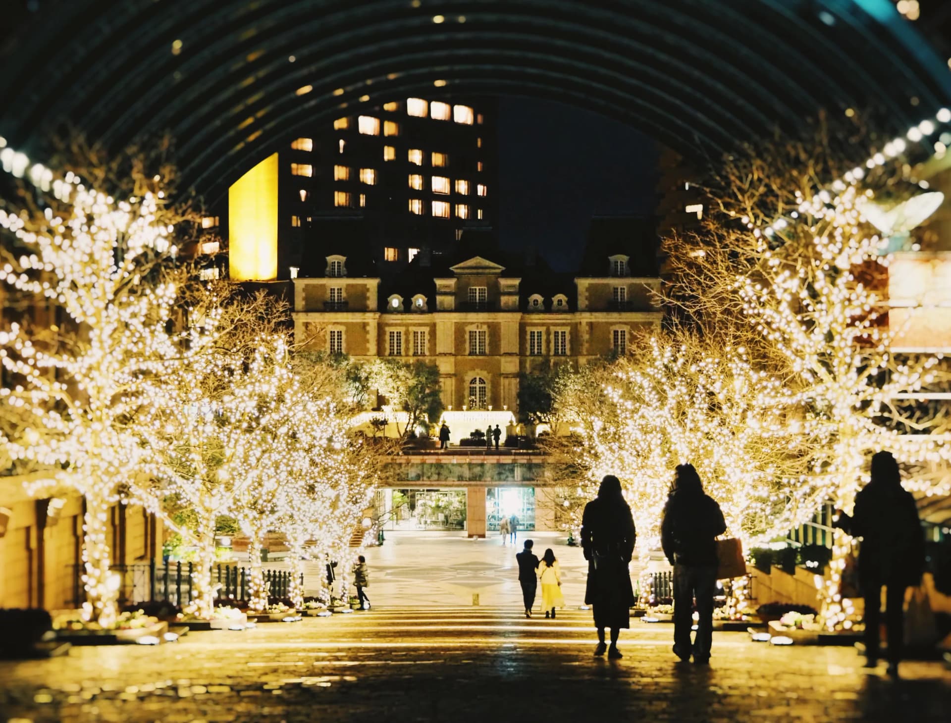 Visitors walking down steps between trees covered in golden winter lights in Japan