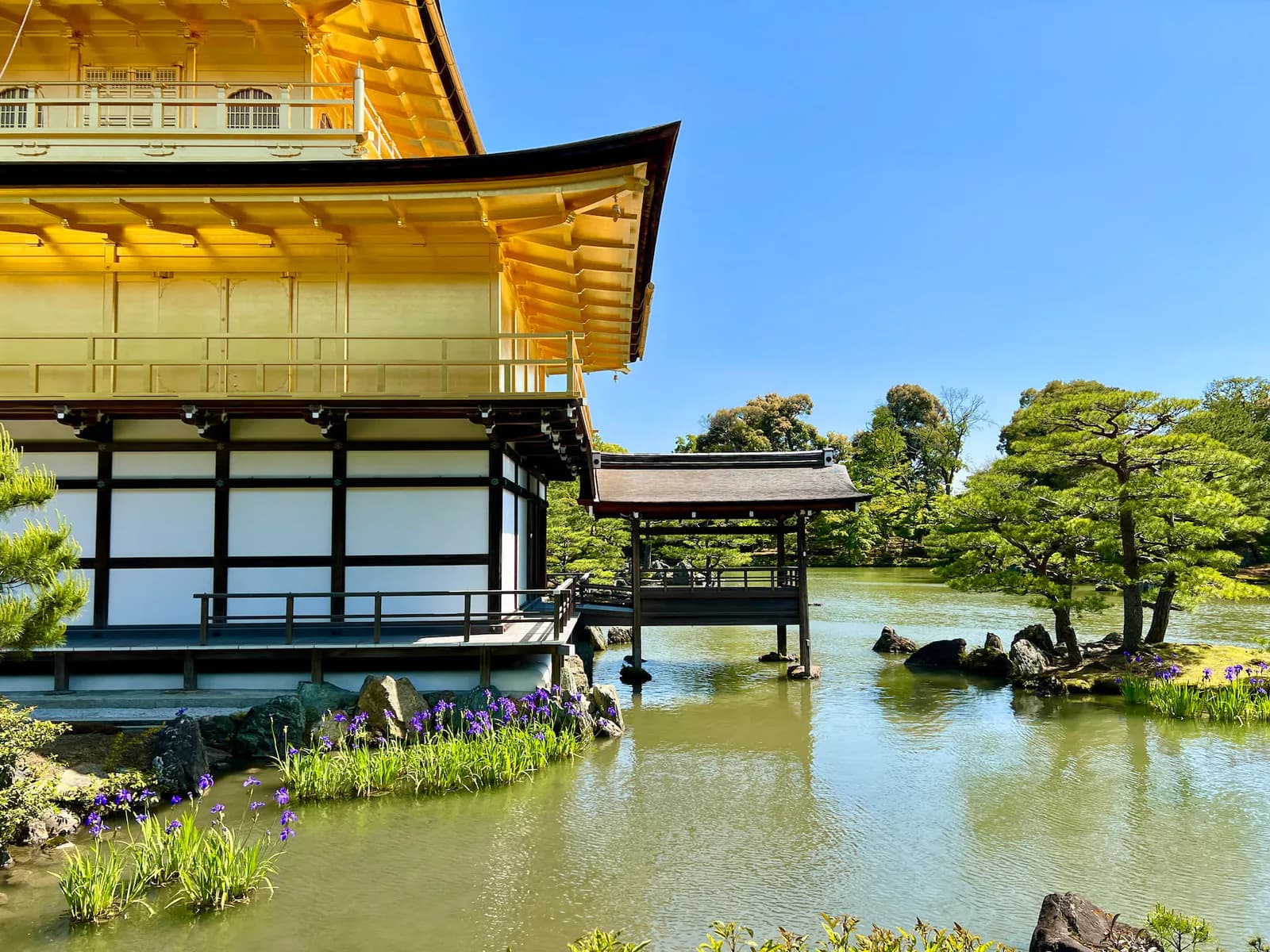 Kinkaku-ji's Golden Pavilion beside its pond and landscaped garden in Kyoto