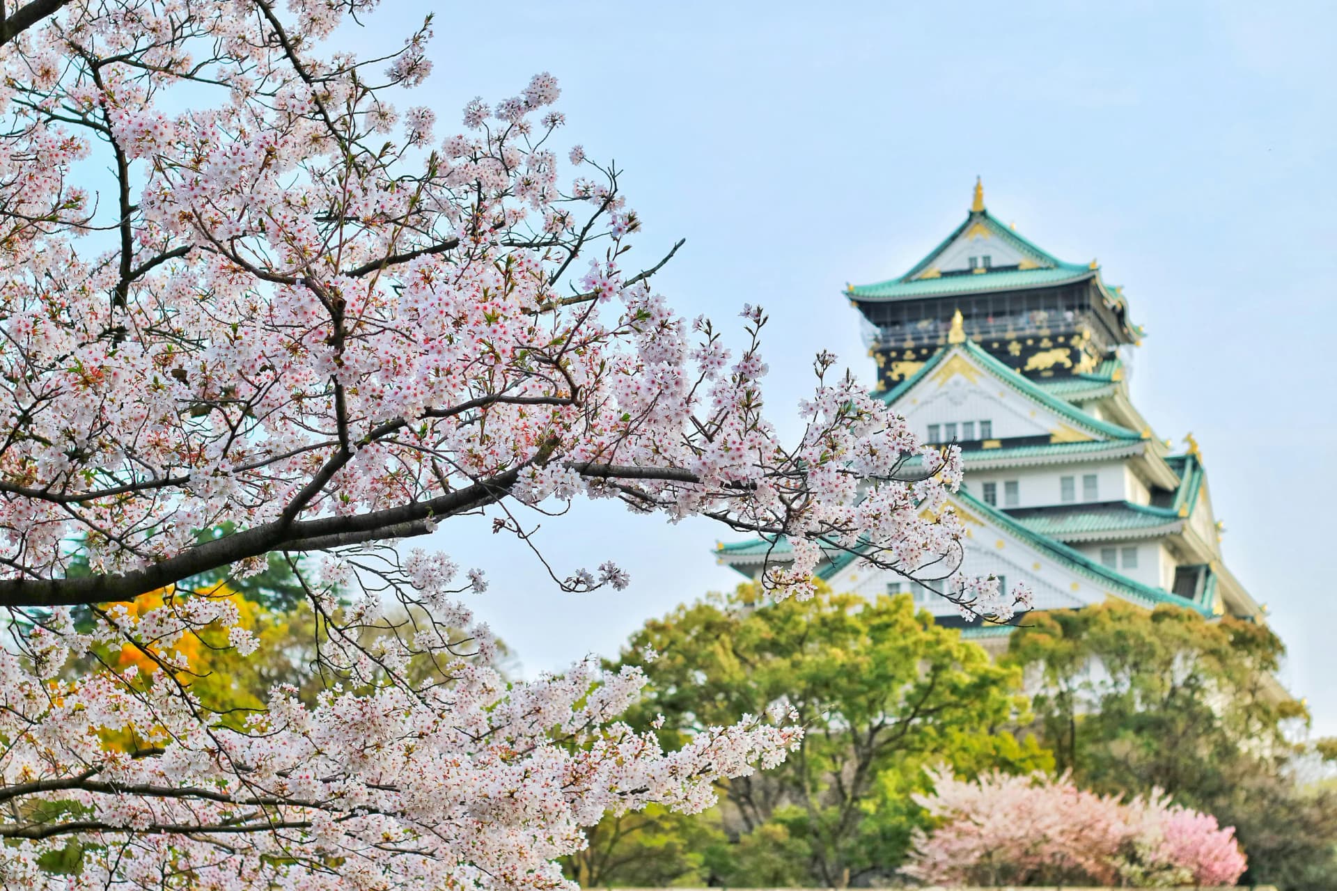 Osaka Castle and surrounding park