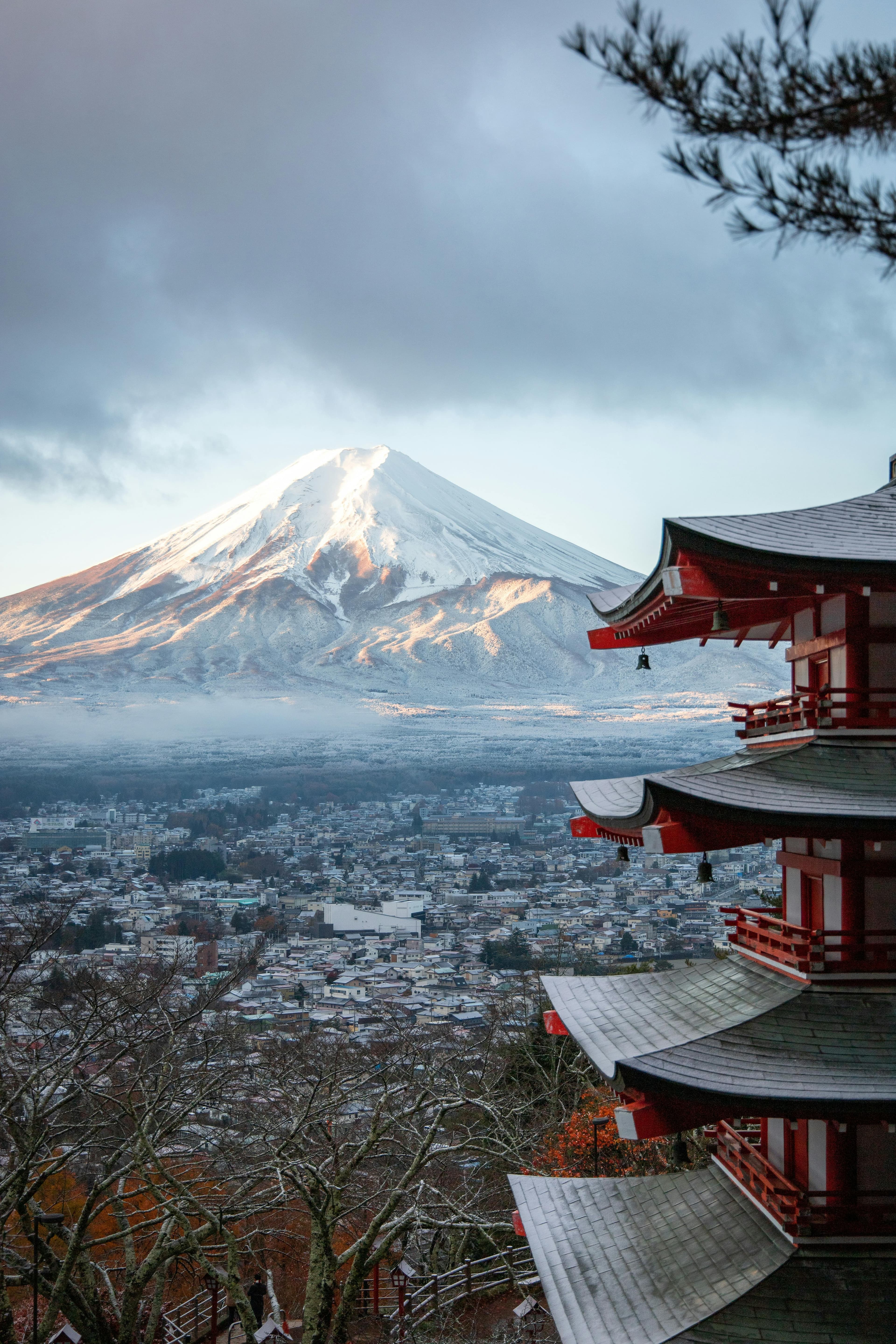 Mount Fuji above cherry blossoms and Chureito Pagoda